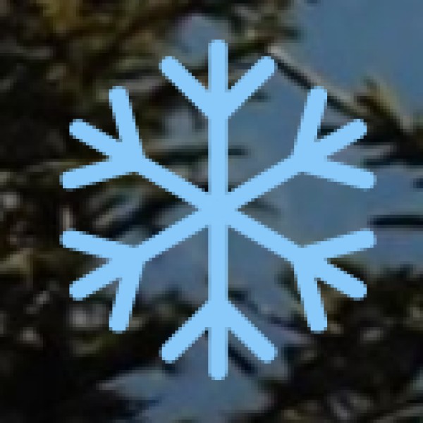 Government Initiatives