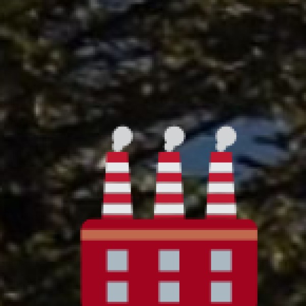 o Dedicated MICE Venues: