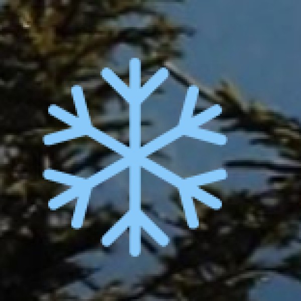 • Research-Based Visits: