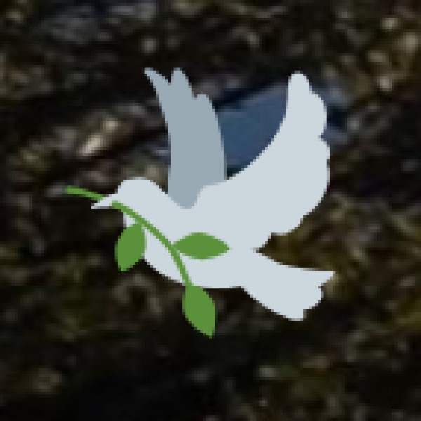 Business and Economy in Ladakh