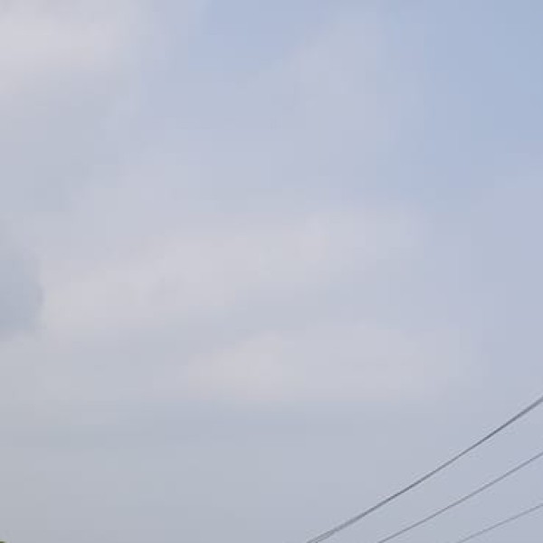 Chepala Pulusu
