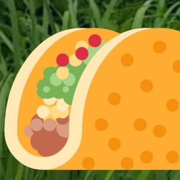 Rice & Flatbreads: