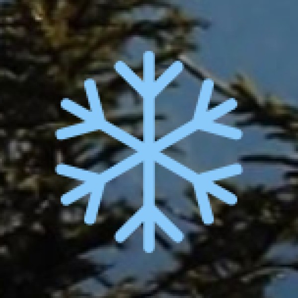 Common Spices Grown: