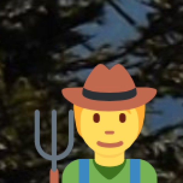 Spice Plantations in Tamil Nadu