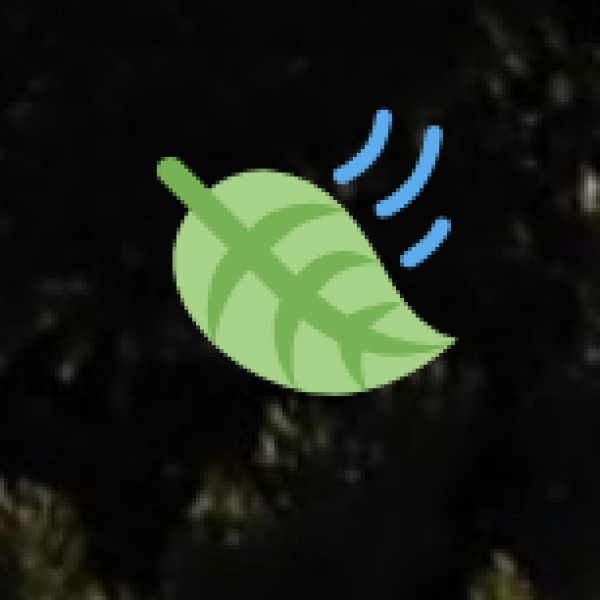 • Terrace Cultivation: