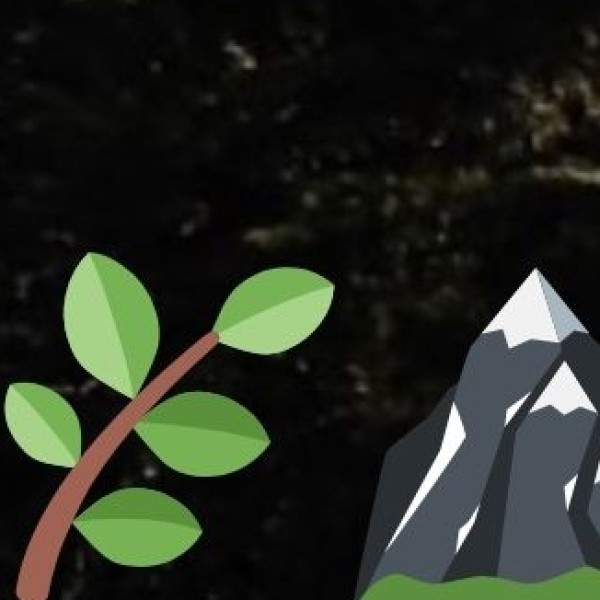 Main Crops Cultivated: