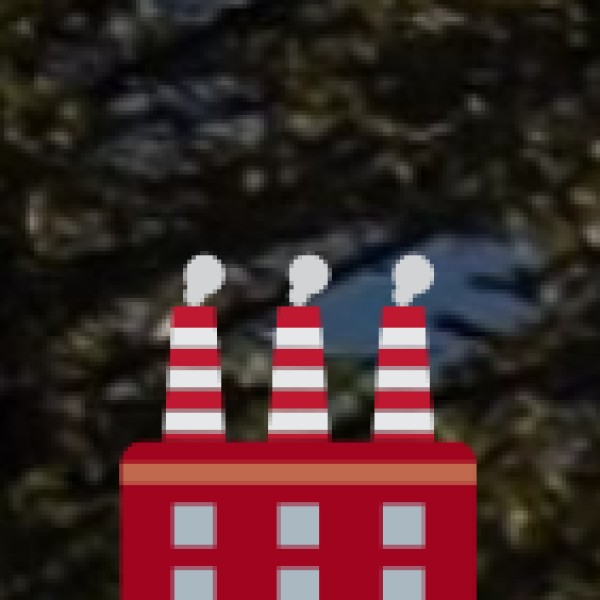 Zeera (Black Cumin / Kala Jeera)