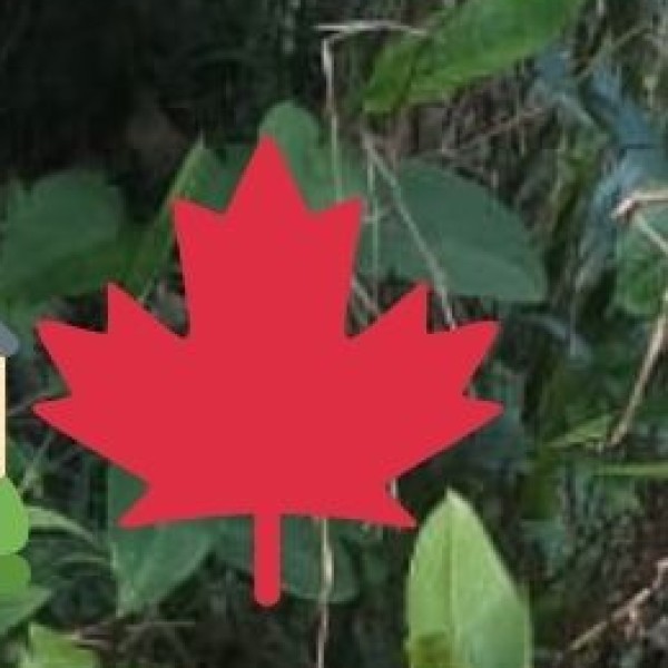 • Small Landholdings: