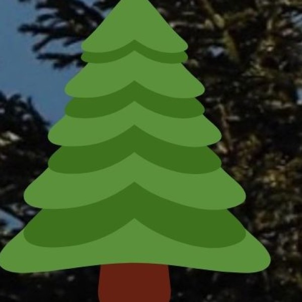 The Spice Trail That Shaped History