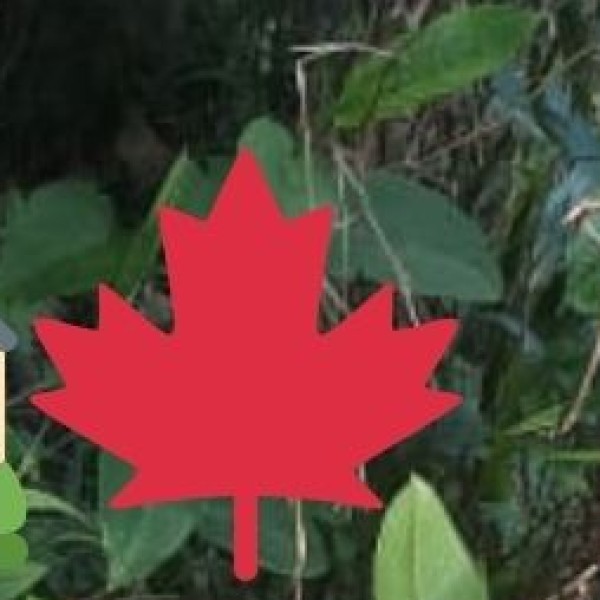 • PRIME (Promotion and Incubation of Market-driven Enterprises):