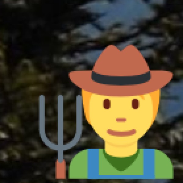 Role in Economy and Exports