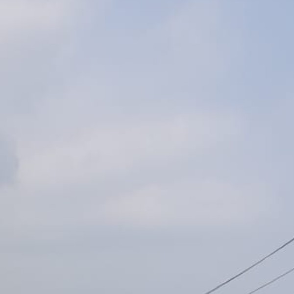 Agriculture in Gujarat