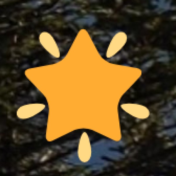 Government Initiatives and Schemes