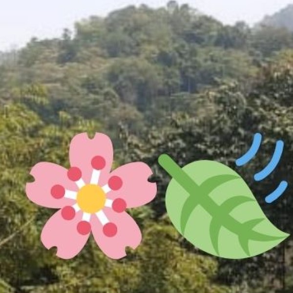 Horticulture & Plantation Crops: