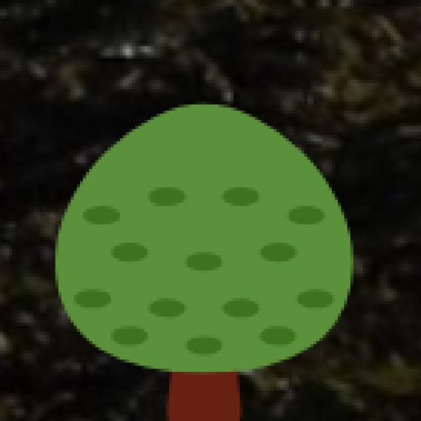 Spice Plantations in Maharashtra