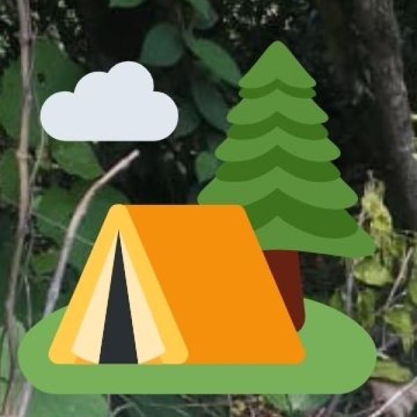 Support and Institutions