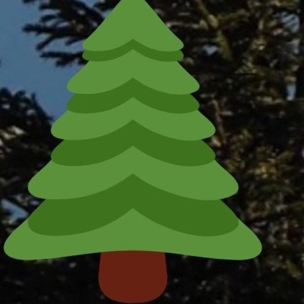 Spice Plantations in Nagaland