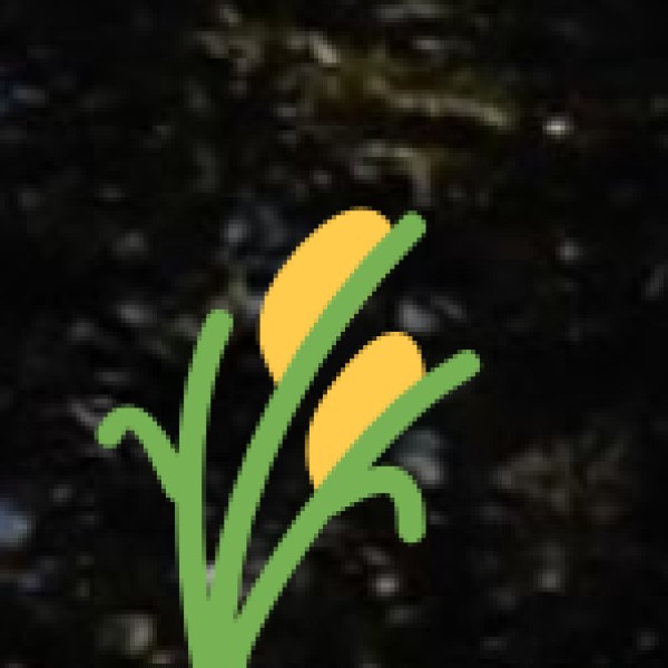 Agriculture & Spice Plantations in Uttar Pradesh