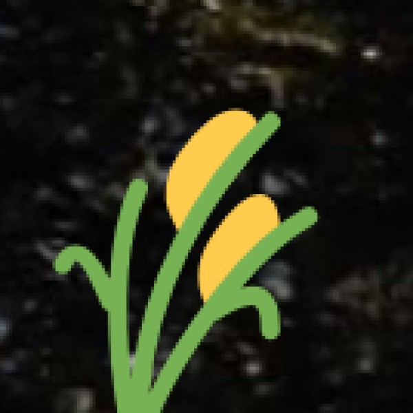 Major Crops of Uttarakhand