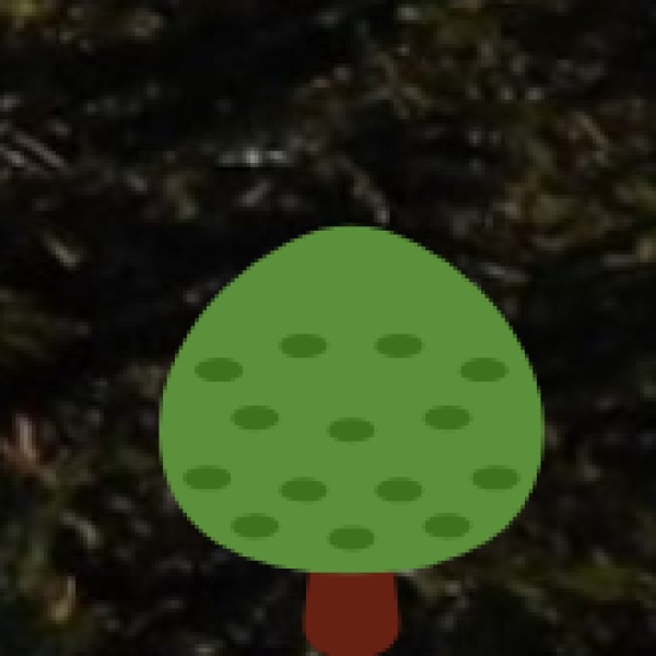 Medicinal and Aromatic Plant Cultivation