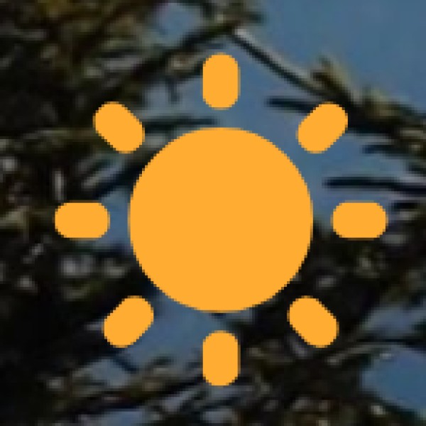 Major Crops Grown in Sikkim