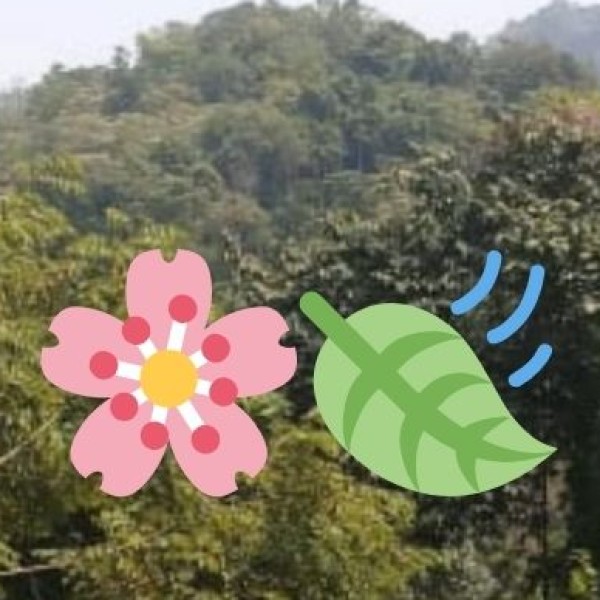 Vegetables and Horticulture