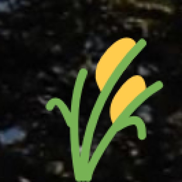 Agriculture & Spice Plantations in Maharashtra