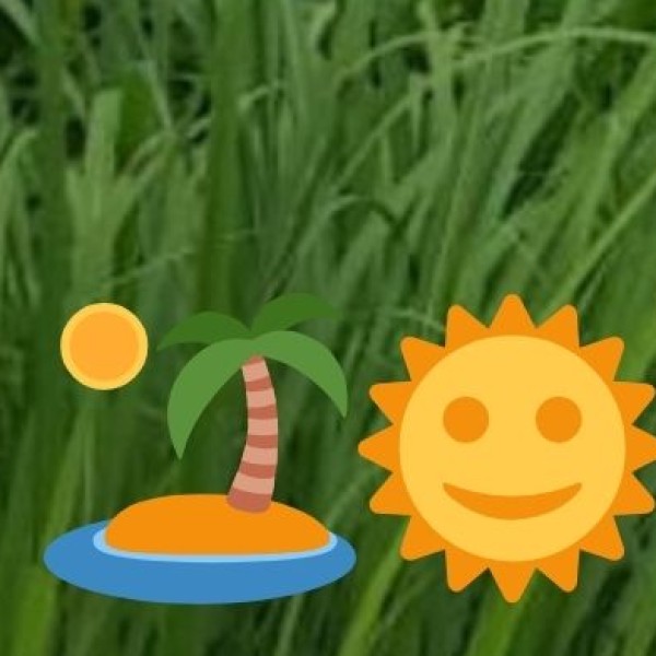 Economic & Export Value