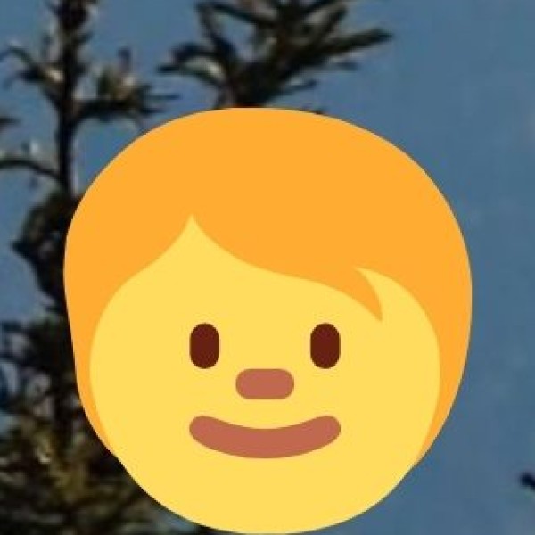 EXPORT & MARKET VALUE