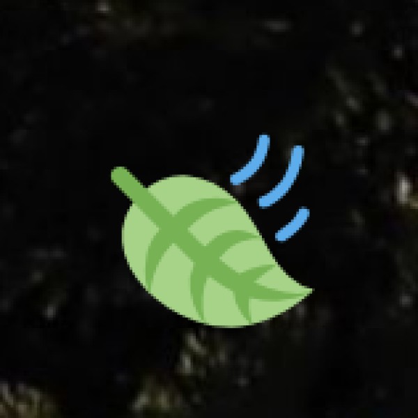 Kaziranga Tea Estates – Tea & Wildlife Together