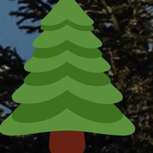 Agriculture & Spice Plantations in Karnataka: