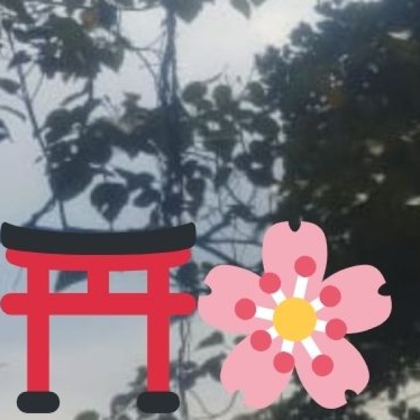 Unique Plantation Stays