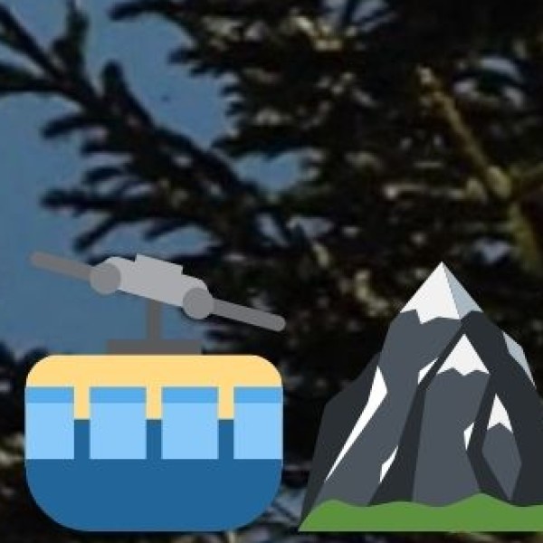 Tea Tourism & Plantation