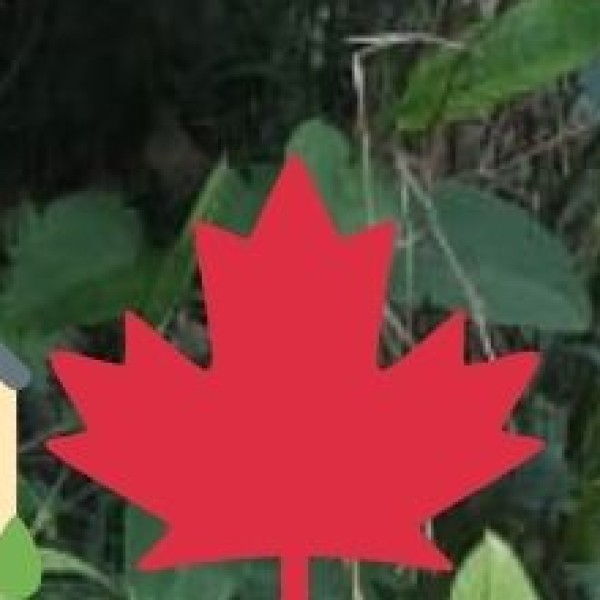 Agricultural Practices and Challenges: