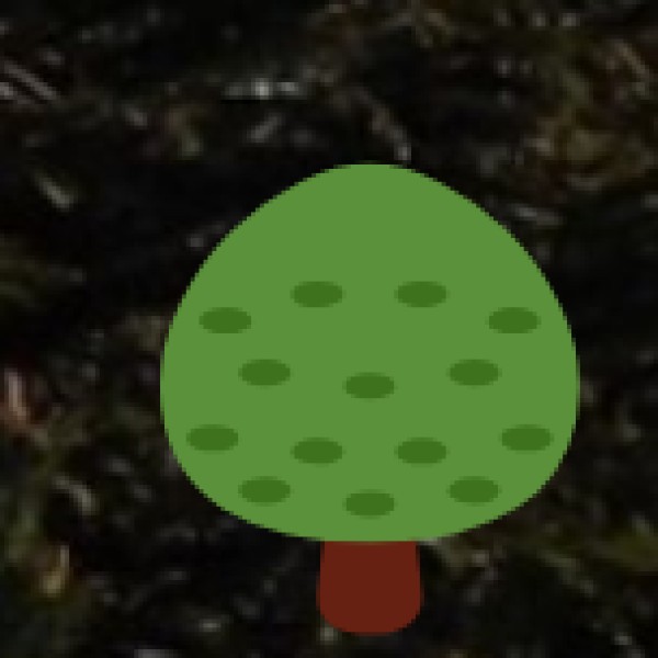 Jorhat – The Tea Capital of Assam