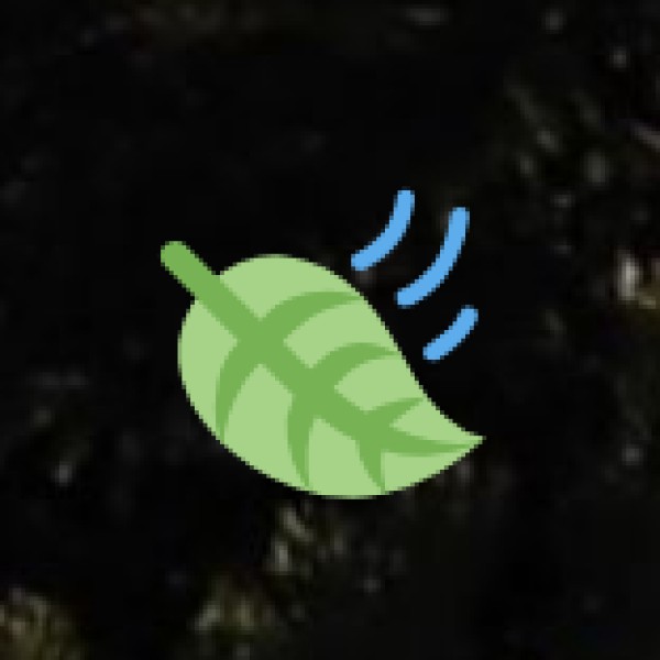 Agriculture & spice plantations in Tamil Nadu -