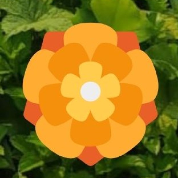 mixed and sustainable farming