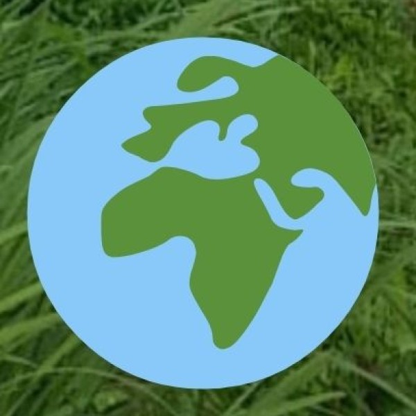 A Cuisine Infused with the Essence of the Spice Trade