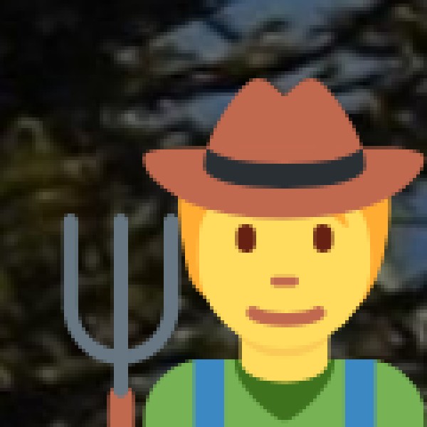 Why Explore Tribal Maharashtra?