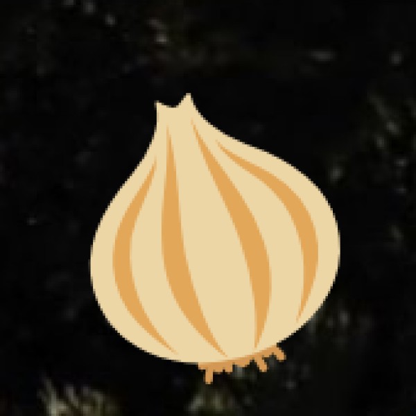 Spice Plantations in Tamil Nadu