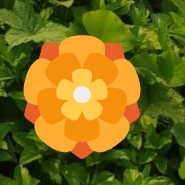 • Spice Trade & Consumption: