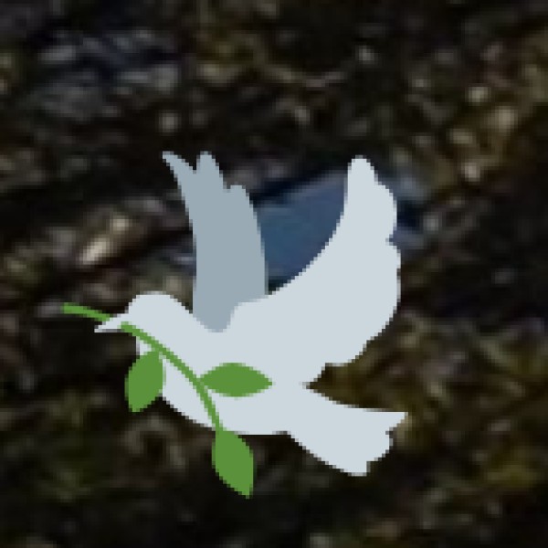 Tribal Festivals & Celebrations