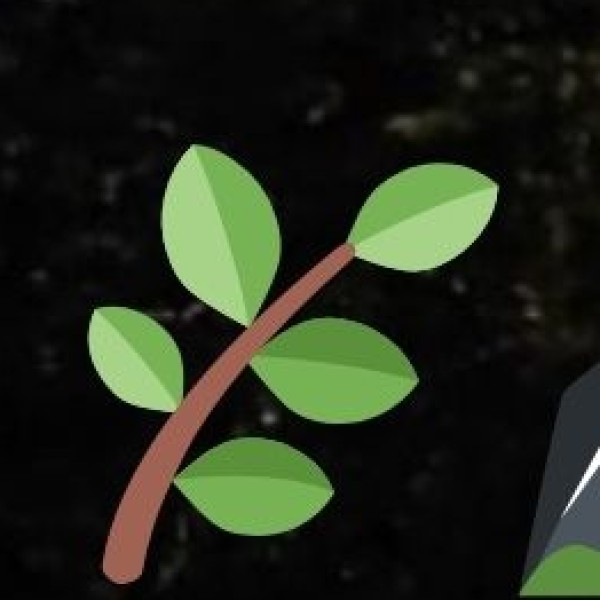 Mirik – A Hidden Gem for Tea Lovers