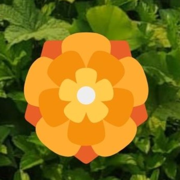 Horticulture – Backbone of Kashmir’s Economy