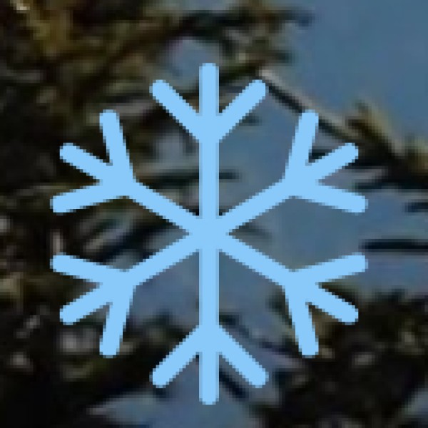 Major Crops Cultivated