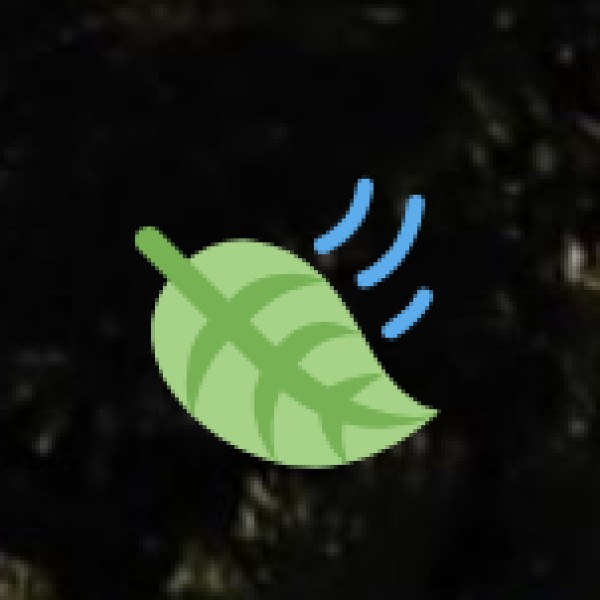 Rabi Crops (Winter Season – October to March)