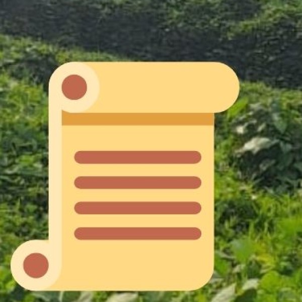 • Mission Jackfruit (2018):