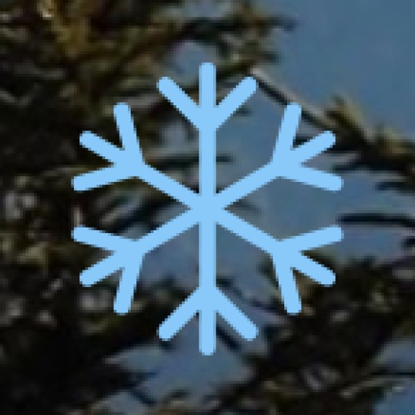 Government support & initiatives..