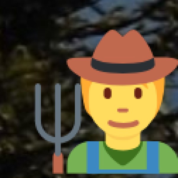 traditional spice plantation