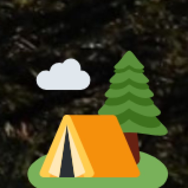 Major Crops Grown in Telangana